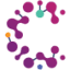 connectivity.org.au