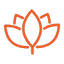 discoveryoga.com