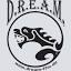 dream-ffm.com