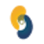 fitkidney.ca