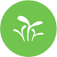 fundacioncristinamasaveu.com
