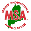 mesnow.com