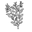 tierrabajanatural.com