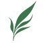 acneclinicnyc.com