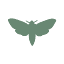 bicbugs.com