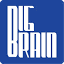 bigbrain.academy