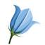 bliubellholistic.com