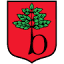 brwinow.pl