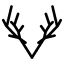 elkcelebrity.com