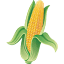 iowacorn.org