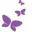 ladyannefunerals.com.au