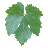 magnacasta.com