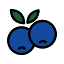 nasablueberry.com