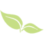 nationalorganics.com.np