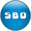 sapbrainsonline.com