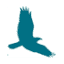 theseahawk.org