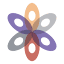dermsolutionsgroup.com