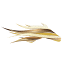 downroyal.com