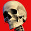 hauntedhouseonline.com