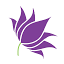 lotusweddings.net
