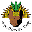 moonflowerdogs-kennel.com