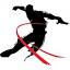 openspacessports.com