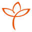 palliative-geriatrie.de