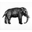 peterbeard.com
