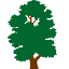 topforest.com