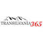 transilvania365.ro