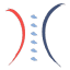 veechsportschiro.com