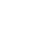 zylo-net.ninja