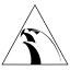 alliancecoralsprings.com