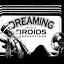 dreamingdroids.com
