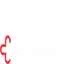 drexopet.ir