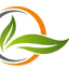 ecolifeinternational.com