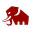hangoutsafaris.com