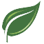 leaflessinseattle.com