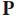 profoammn.com