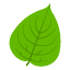 rickwellsinsurance.co.nz