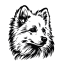 skyweb.co.ke