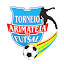 torneioarimateia.com.br