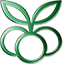 55xw.net