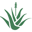 agricolataloe.com