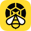 beesports.com
