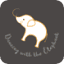 dancing-with-the-elephant.com