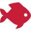 dolphindocks.com