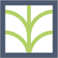 easygreenhosting.it