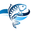fishcatcher.com