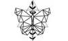 flutterlabs.us
